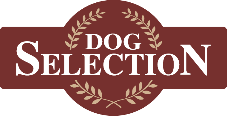 Dog Selección